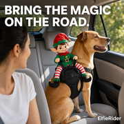 ElfieRider Pet Costume