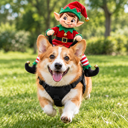 Elf Rider Pet Costume