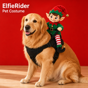 ElfieRider Pet Costume